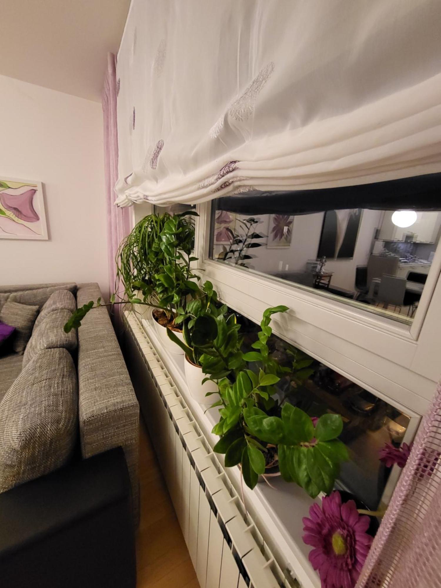 Apartman Jarun Lake Lux ザグレブ エクステリア 写真