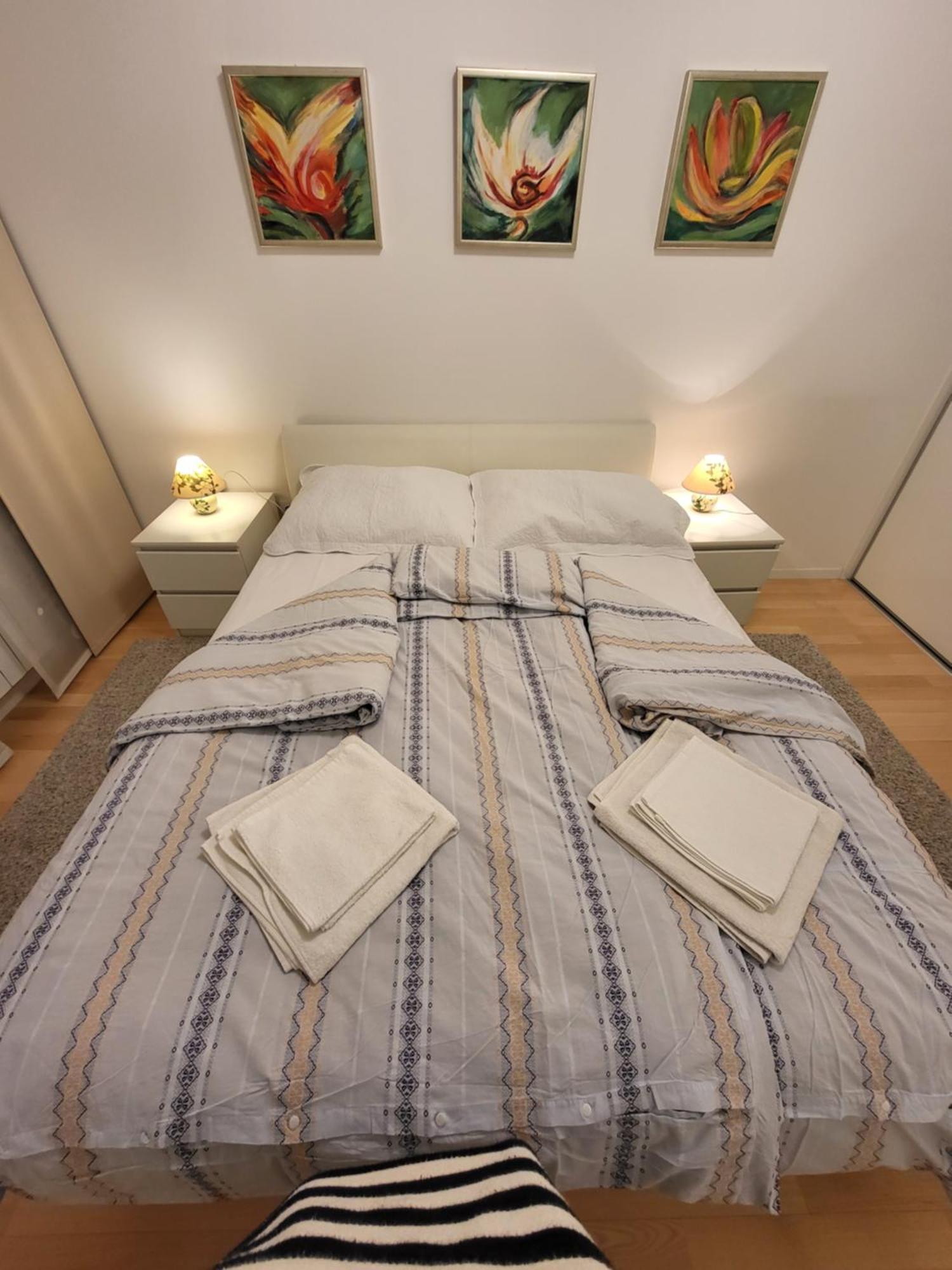 Apartman Jarun Lake Lux ザグレブ エクステリア 写真