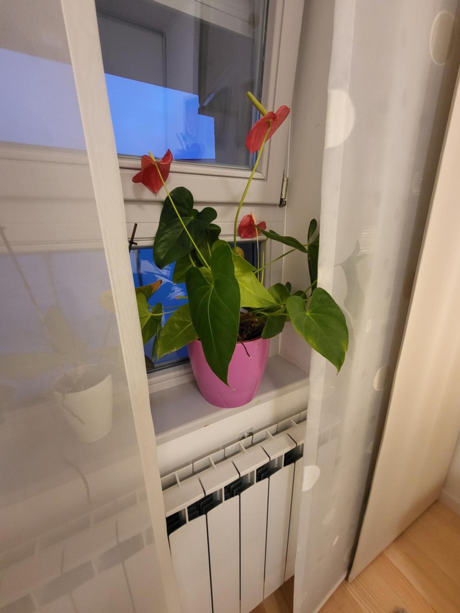 Apartman Jarun Lake Lux ザグレブ エクステリア 写真